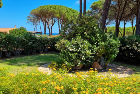 imm_44086-20250723155001-720-