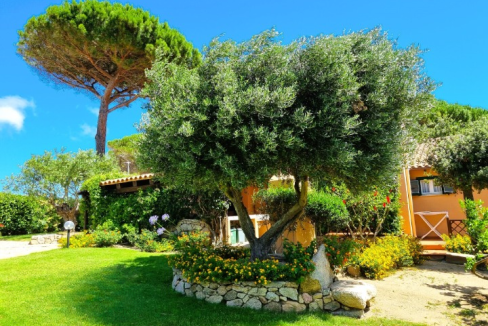 imm_44096-20250723100751-720-