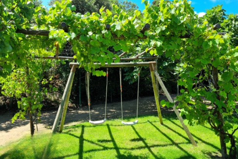 imm_44098-20250723155010-720-