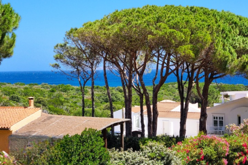 imm_44130-20250723154859-720-