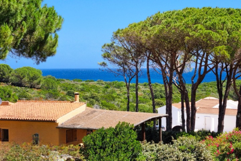 imm_44133-20250723100255-720-