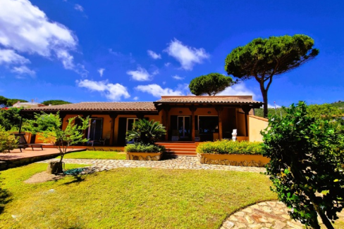 imm_44137-20250723093803-720-