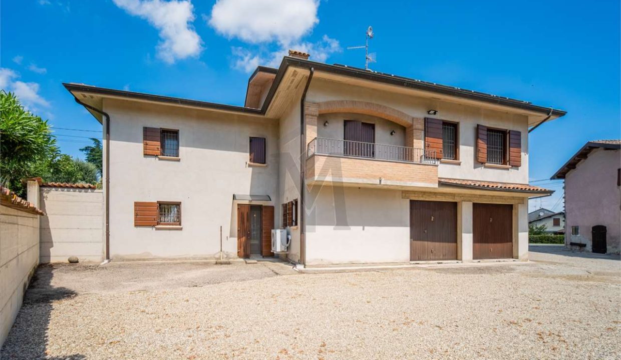 imm_44447-20260119094650-1280-