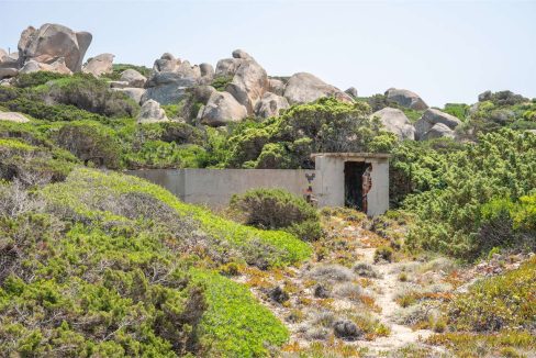 imm_44462-20250801170709-1280-