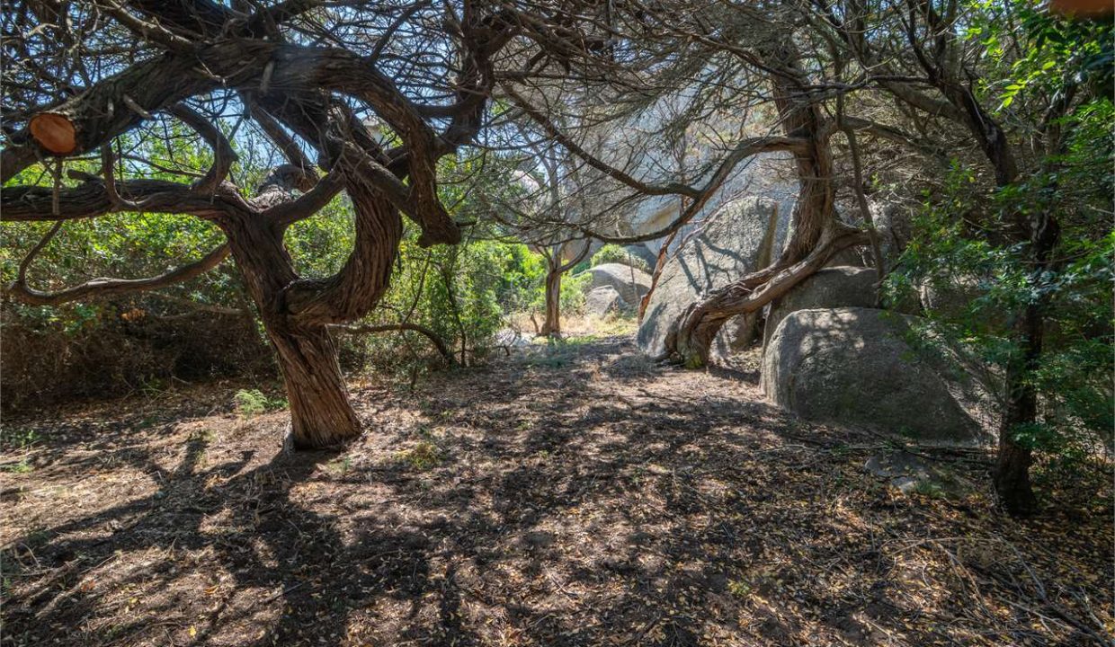 imm_44492-20250801165913-1280-