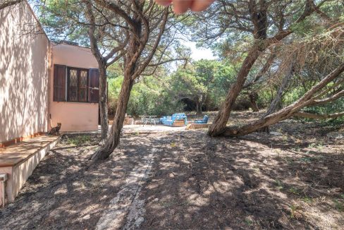 imm_44494-20250801170713-1280-