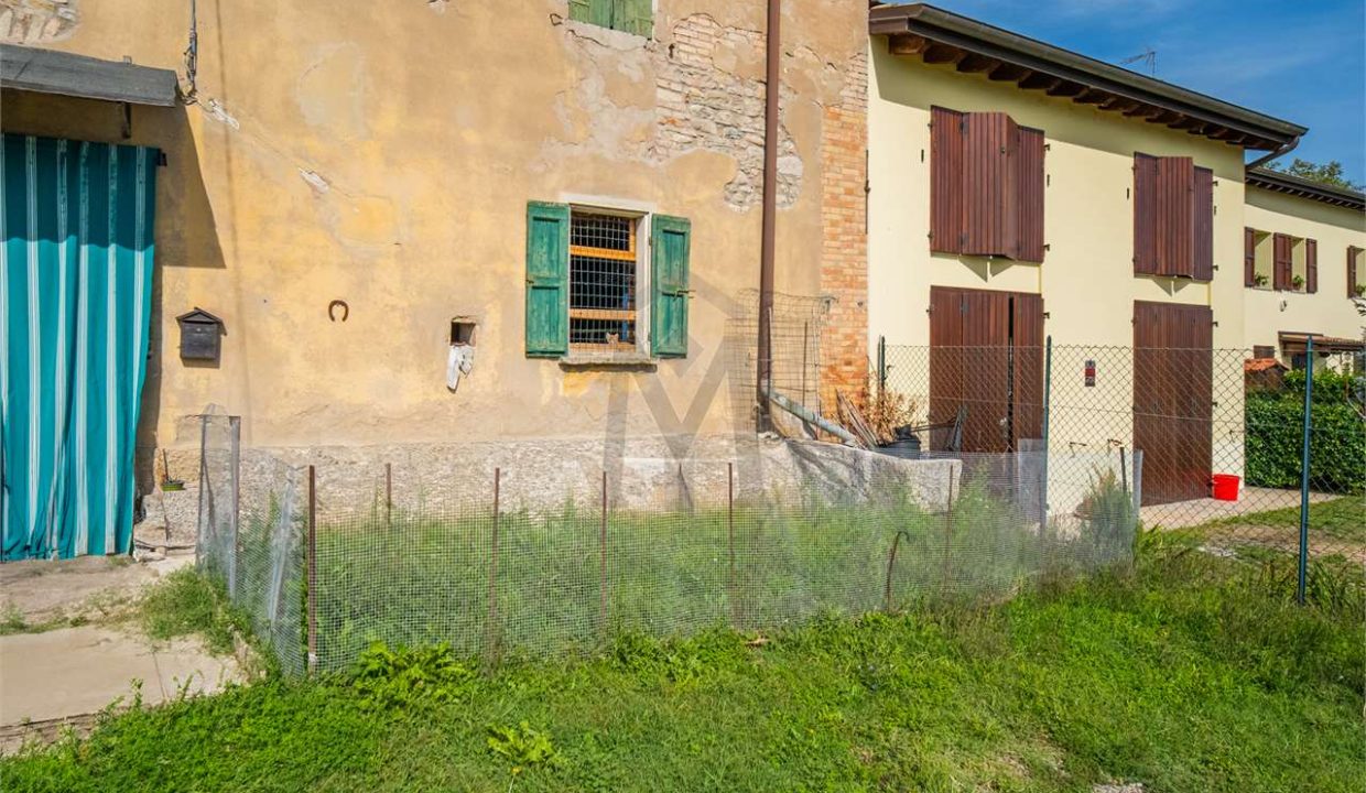 imm_44730-20260123174738-1280-