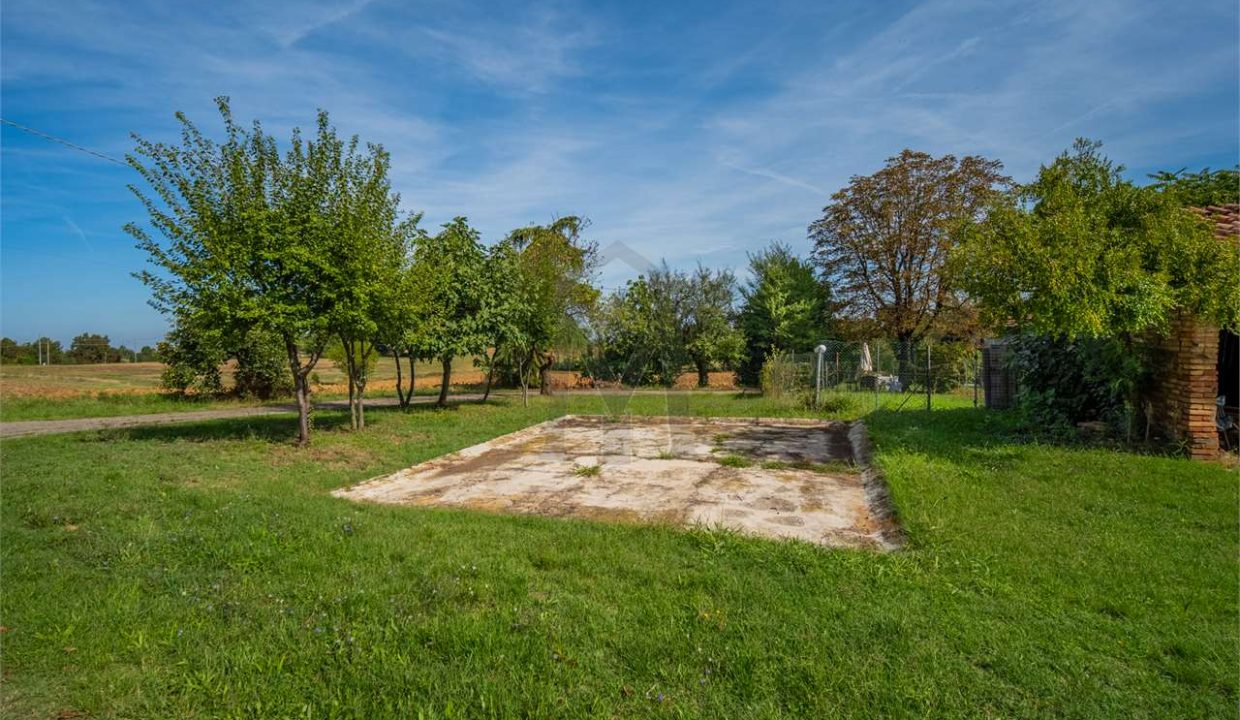 imm_44737-20260123174811-1280-