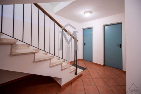 imm_44905-20250918184103-1280-