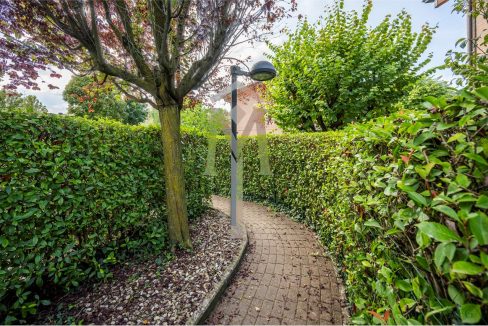 imm_44911-20250918182557-1280-