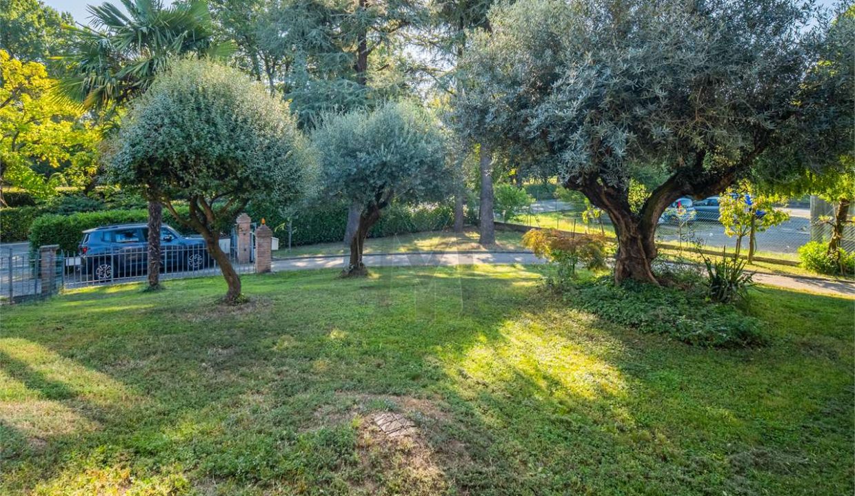 imm_45091-20250923161235-1280-