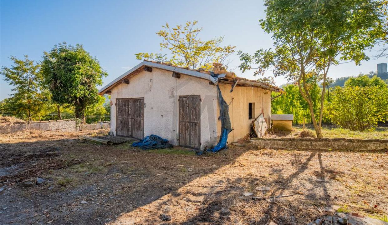 imm_45738-20251013100159-1280-