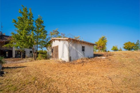 imm_45739-20251013100202-1280-