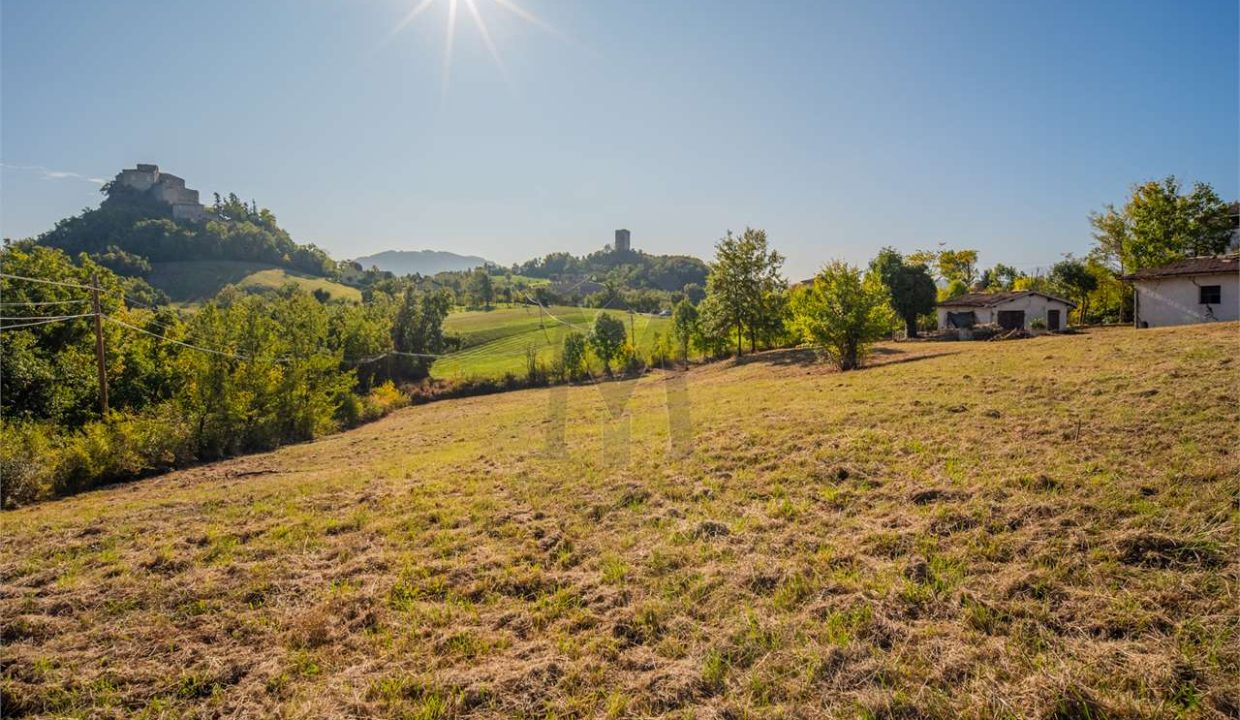 imm_45742-20251013100211-1280-