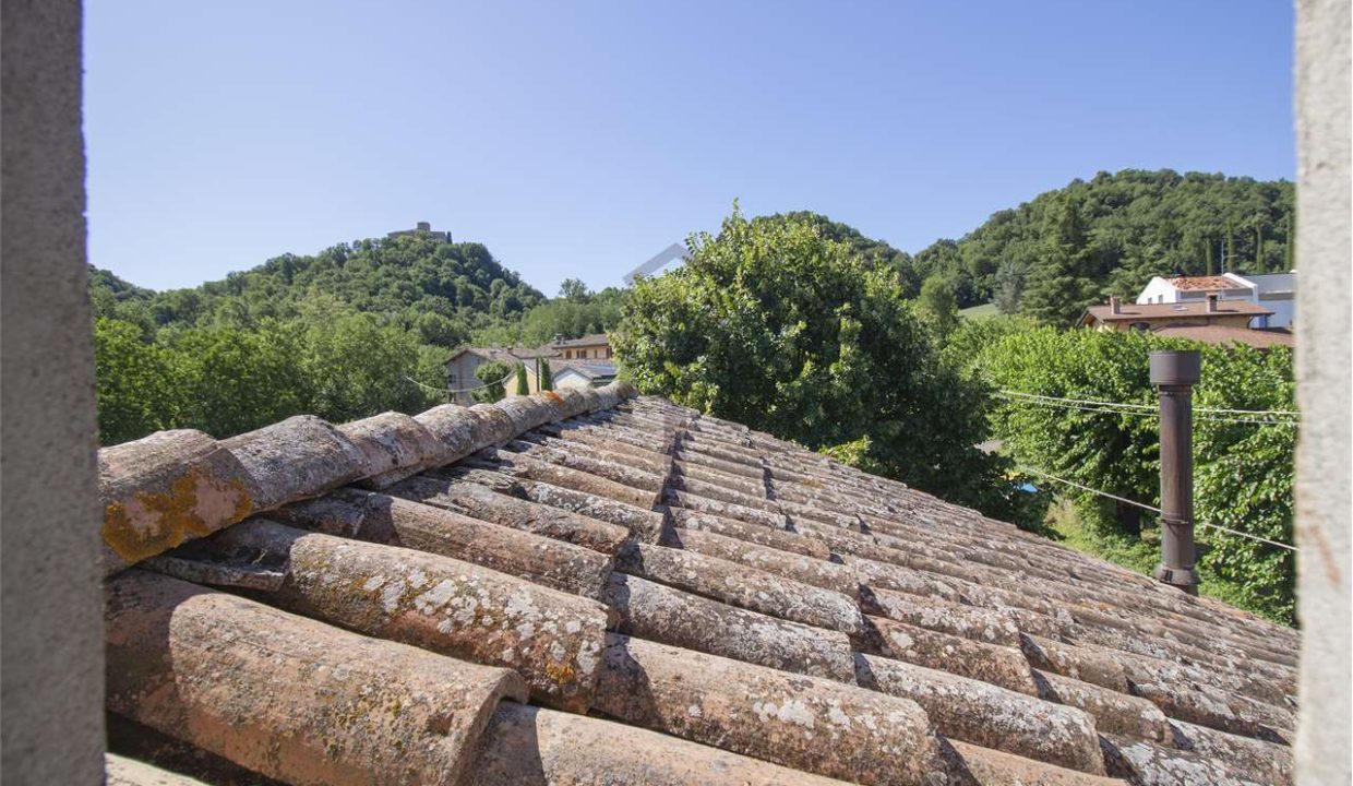 imm_45826-20251014113448-1280-