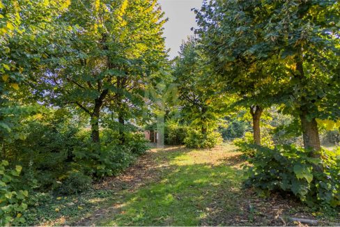 imm_45935-20251024102511-1280-