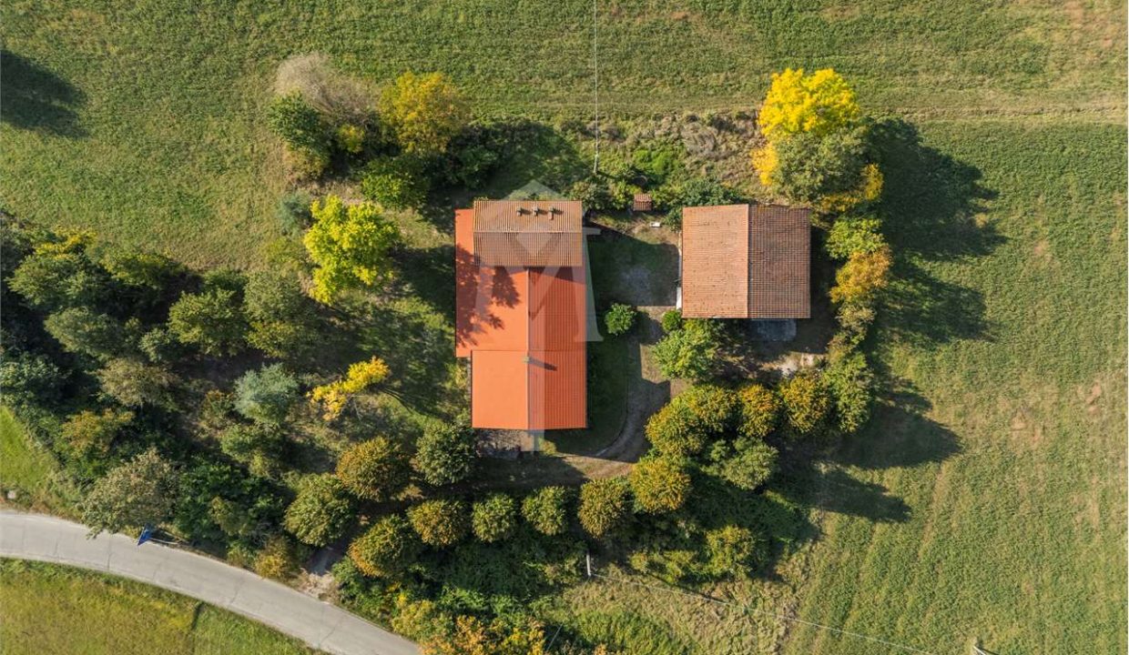 imm_45948-20251119103648-1280-