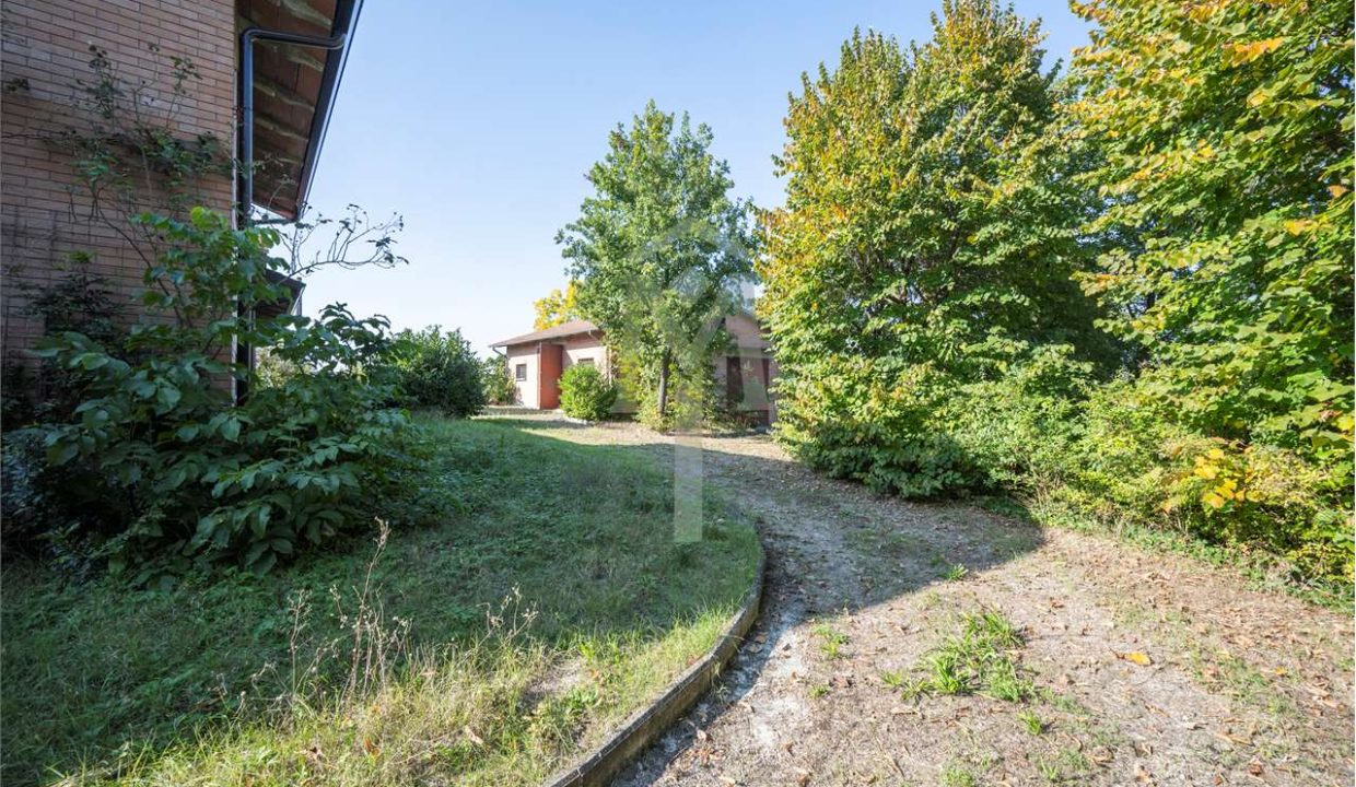 imm_45952-20251024102948-1280-