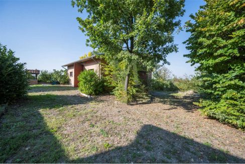 imm_45954-20251023112259-1280-