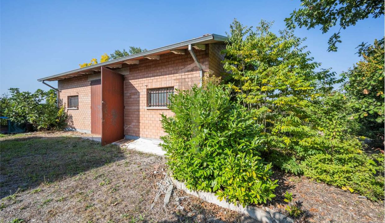 imm_45955-20251024103002-1280-