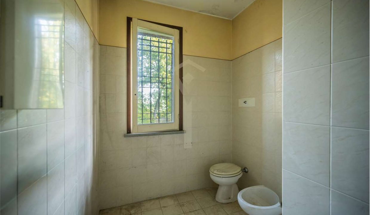 imm_45968-20251024101938-1280-