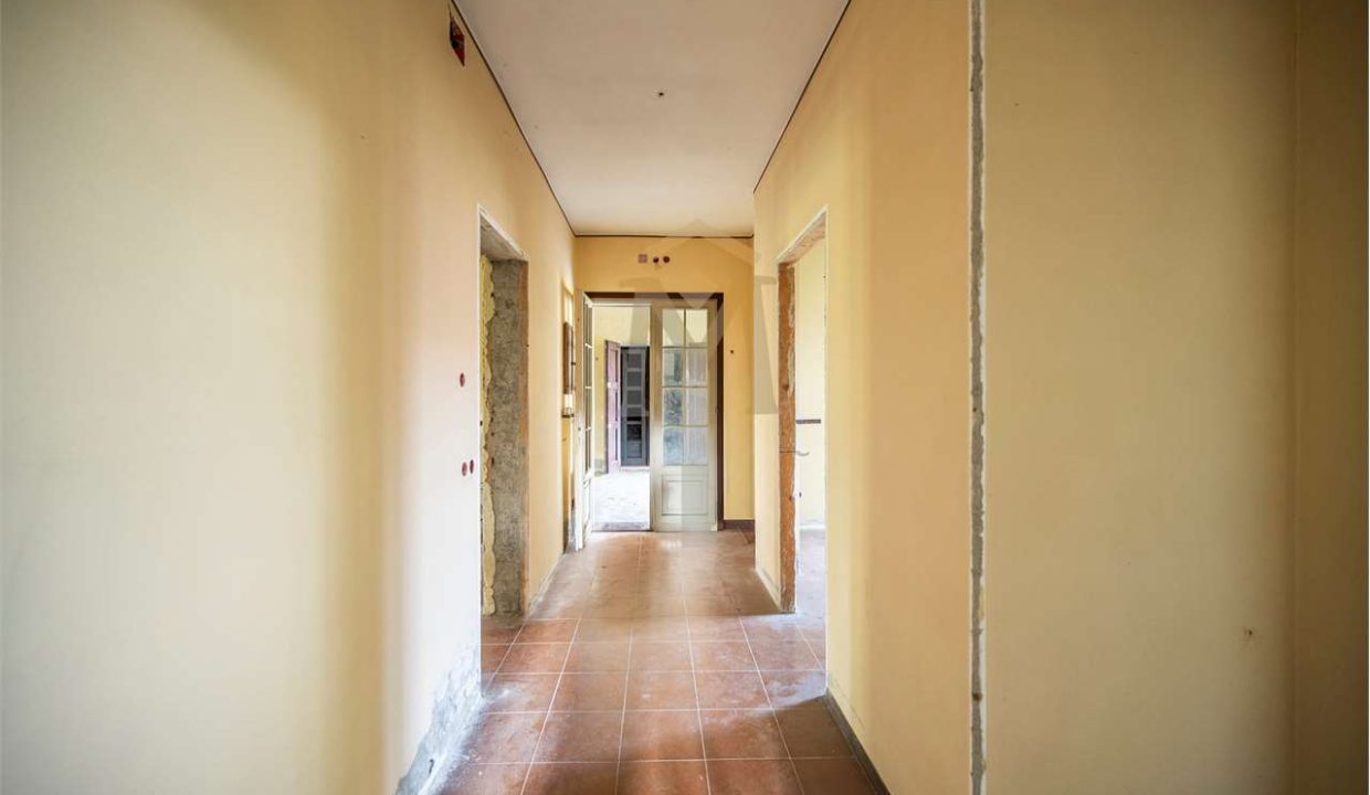 imm_45969-20251024094319-1280-