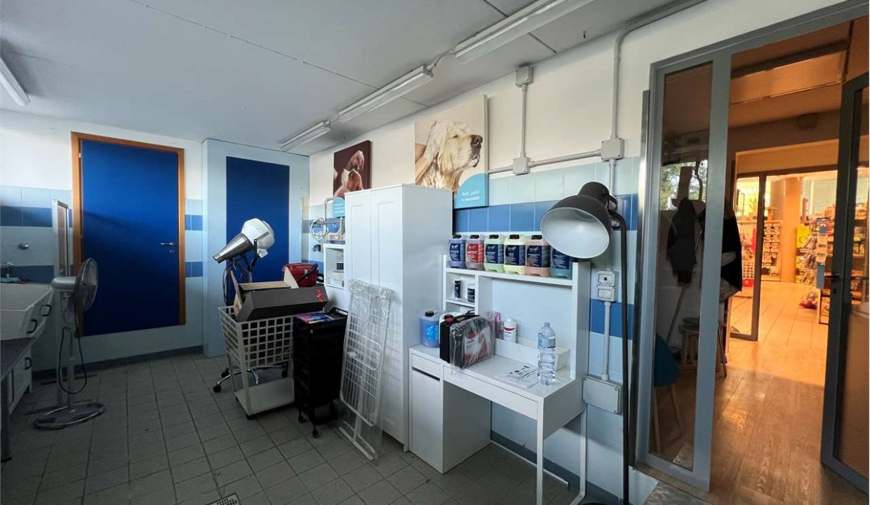 imm_46054-20251023111929-1280-