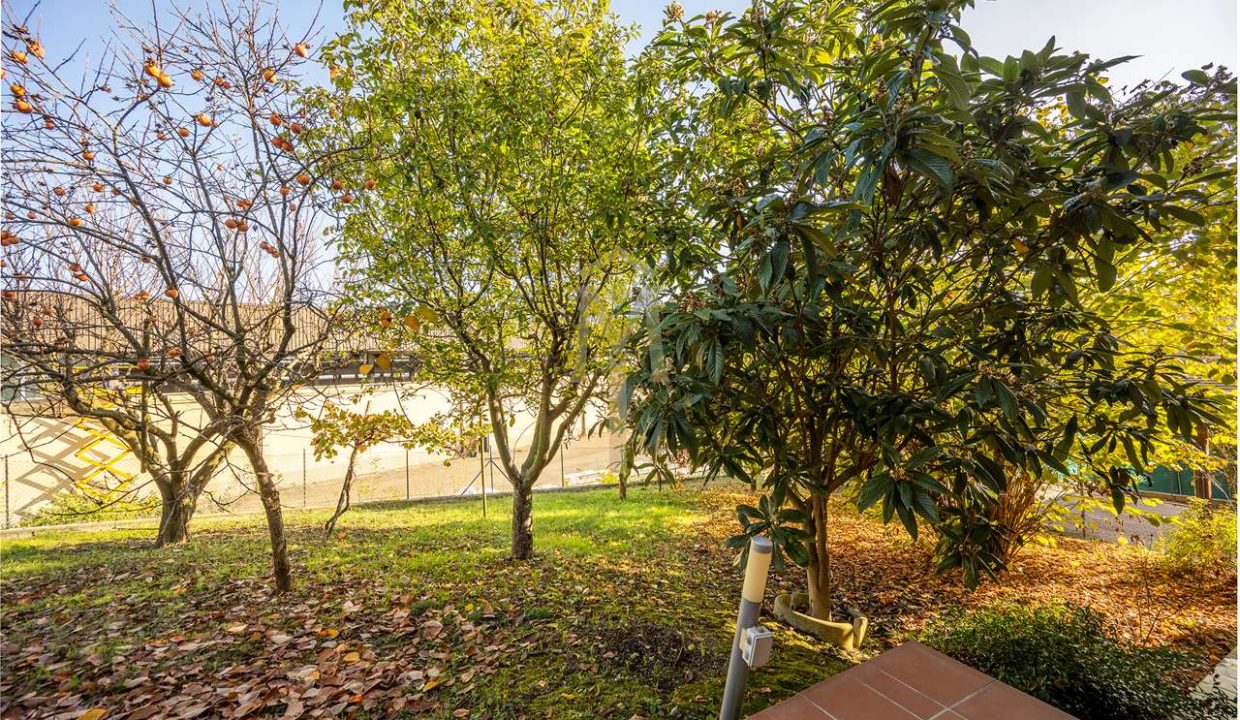 imm_46524-20251118163405-1280-