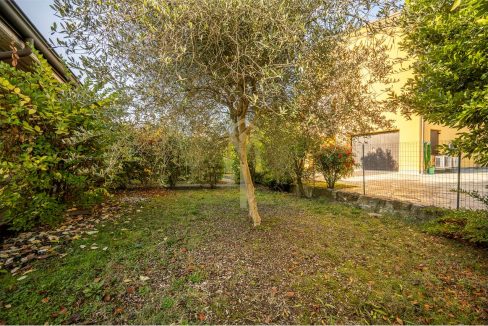 imm_46528-20251118163355-1280-