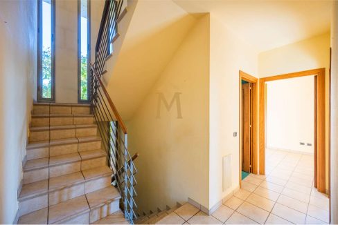 imm_46551-20251118160032-1280-