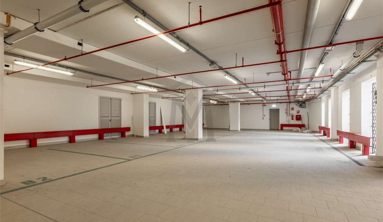 imm_47412-20251218121608-1280-