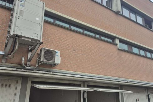 imm_47539-20260116181336-1280