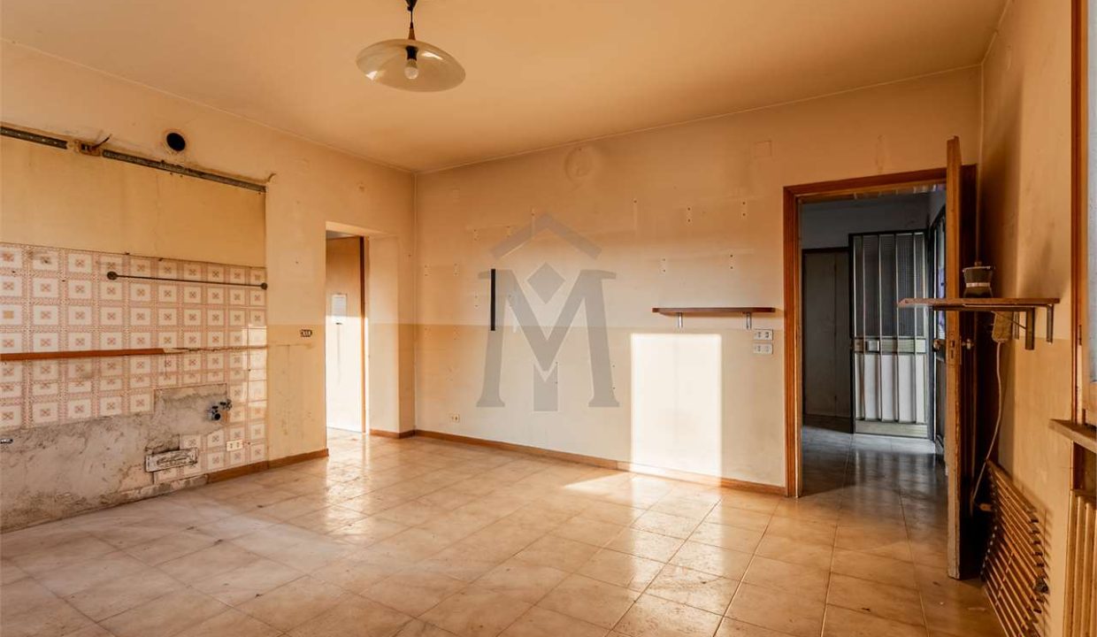 imm_47595-20260127092750-1280-