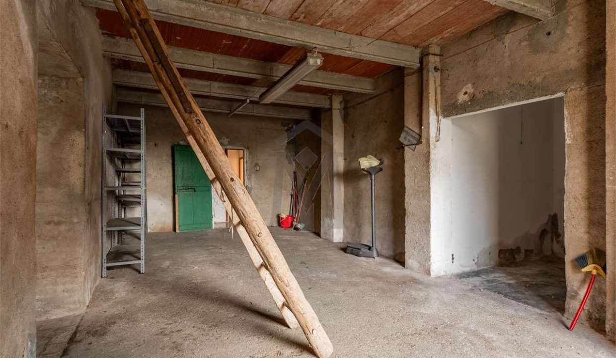 imm_47596-20260127092804-1280-