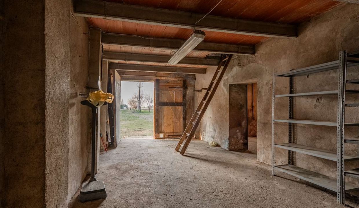 imm_47597-20260127092809-1280-