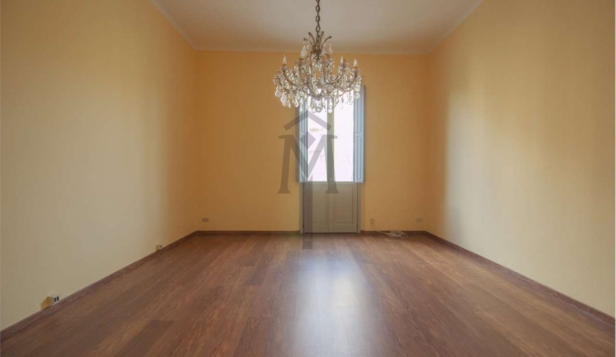 imm_47659-20260128110437-1280-