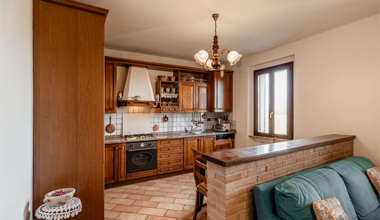 imm_47805-20260128183741-1280-