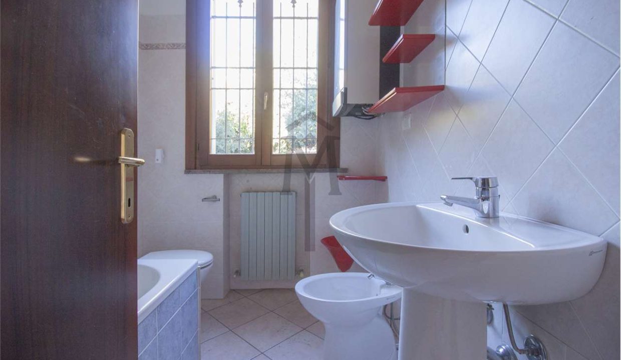 imm_47977-20260217162938-1280-