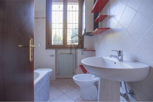 imm_47977-20260217162938-1280-