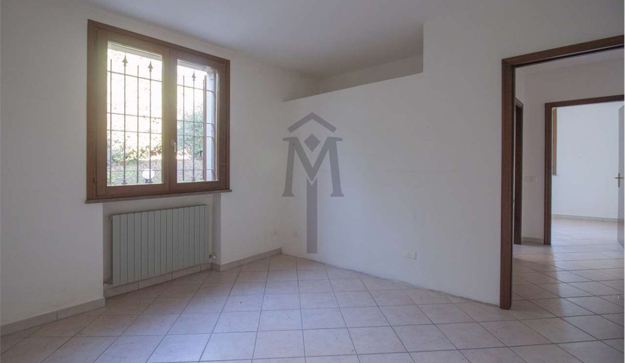 imm_47981-20260217162907-1280-