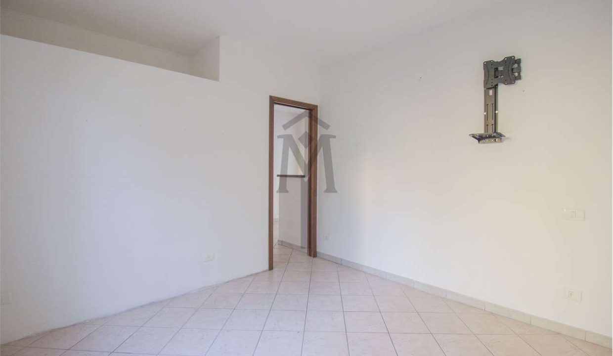 imm_47982-20260217162915-1280-