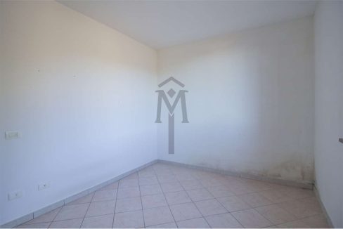 imm_47984-20260217162918-1280-