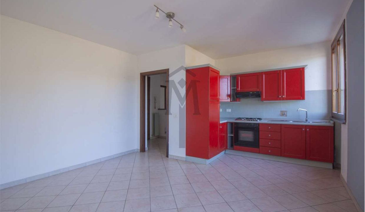 imm_47990-20260217162702-1280-