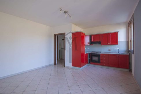 imm_47990-20260217162702-1280-