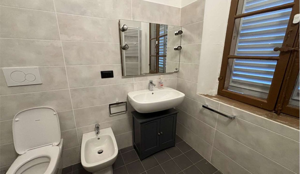 imm_48060-20260218190011-1280-