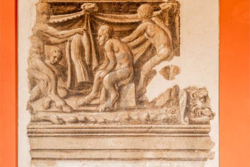 imm_48140-20260302171826-1280