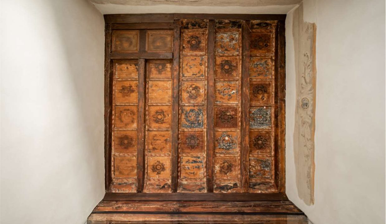 imm_48172-20260302171831-1280-