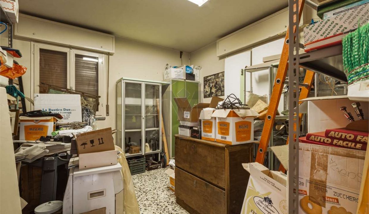 imm_48210-20260225172819-1280-