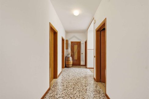 imm_48211-20260225173113-1280-