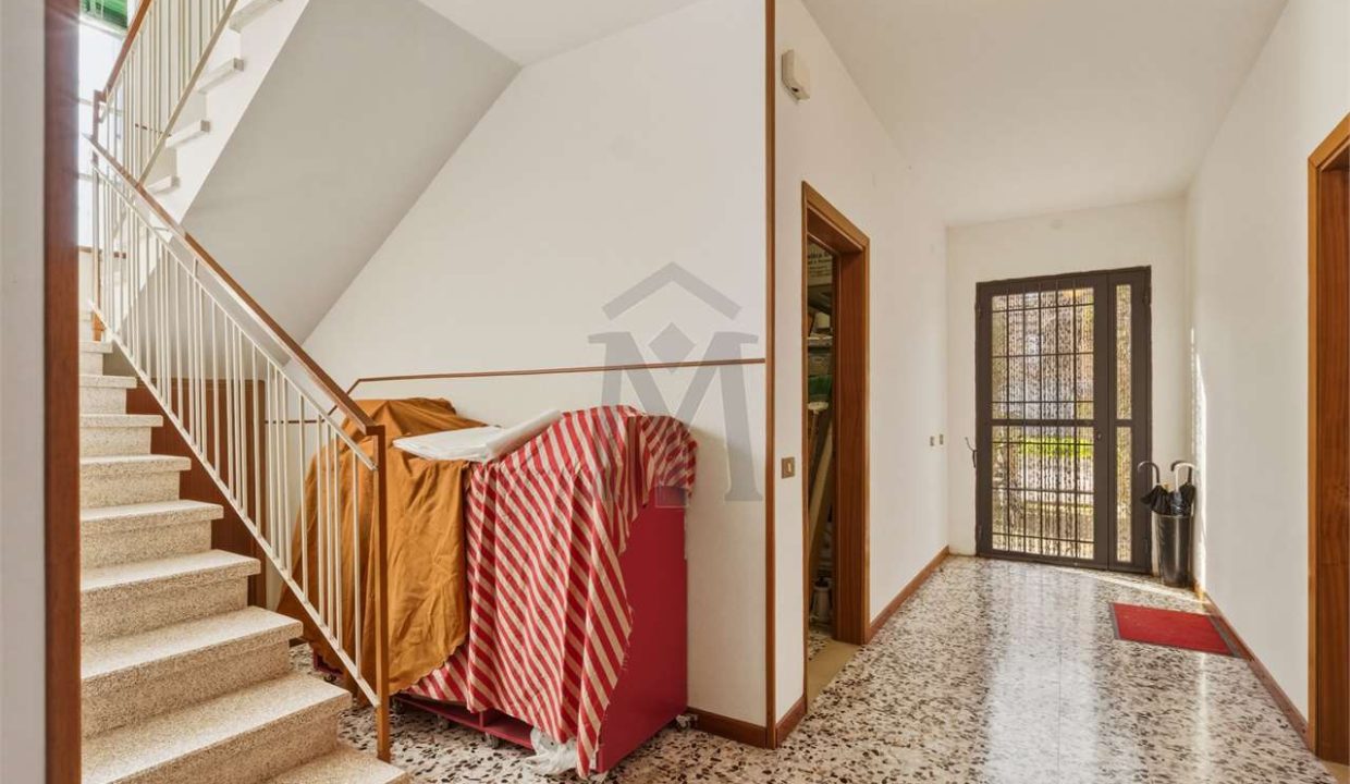 imm_48212-20260225173120-1280-